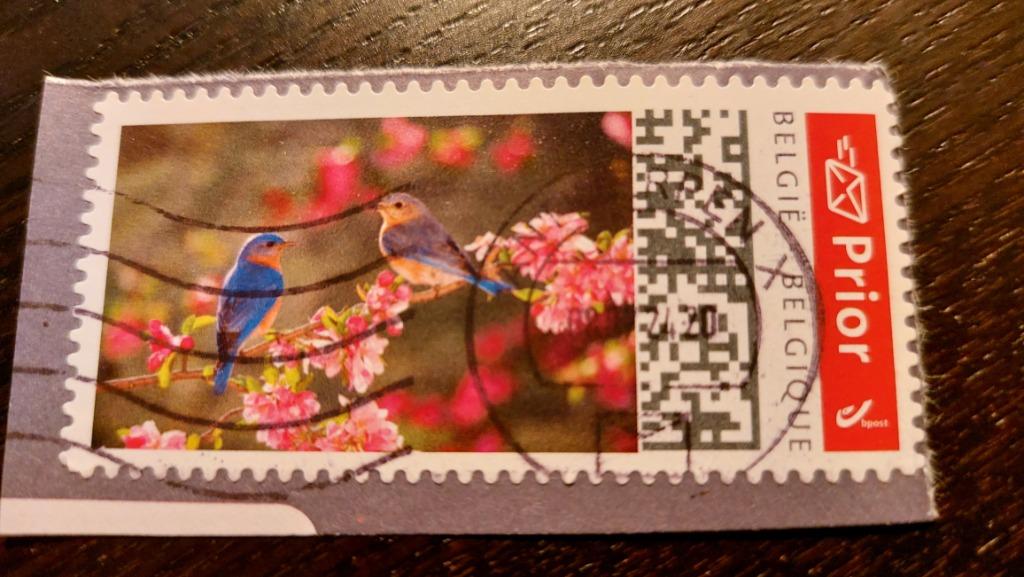 België: Duostamp - vogels, Met stempel, Frankeerzegel, Ophalen of Verzenden, Gestempeld