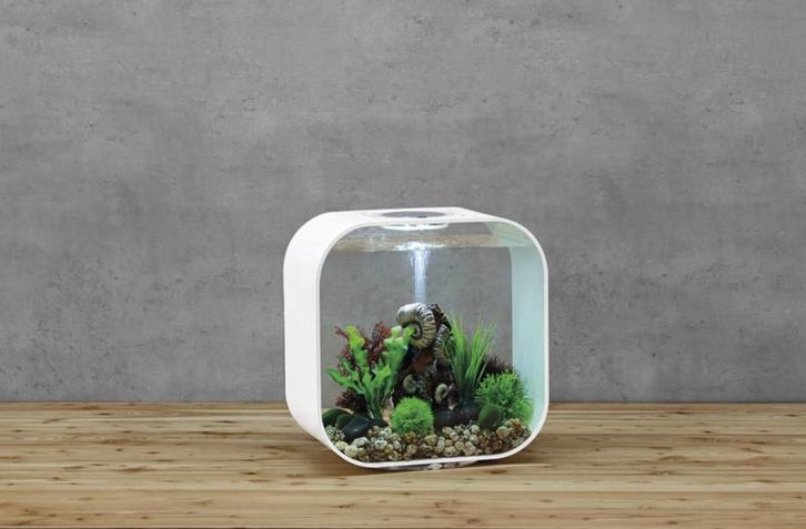 Biorp life 30 wit, Dieren en Toebehoren, Vissen | Aquaria en Toebehoren, Gebruikt, Leeg aquarium, Ophalen