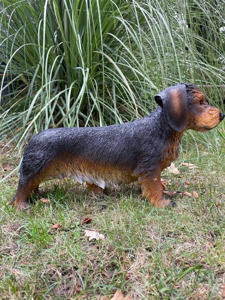 (Tuin)Beeld teckel, tekkel, hond, tuin, gazon 50cm, Tuin en Terras, Tuinbeelden, Nieuw, Dierenbeeld, Kunststof, Ophalen of Verzenden