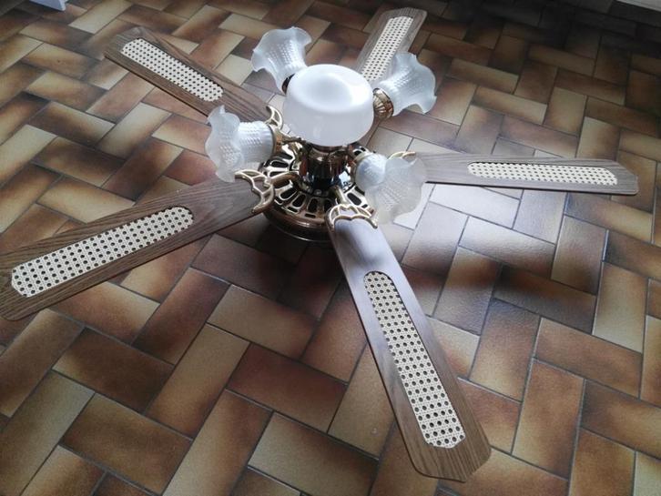 lustre à palmes pour véranda ou autre, Huis en Inrichting, Lampen | Kroonluchters, Nieuw, Glas, Kunststof, Metaal, Ophalen