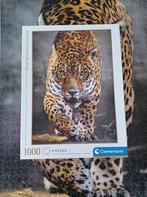 Puzzle 1000 pièces Walk of the Jaguar, 500 à 1500 pièces, Puzzle, Enlèvement, Utilisé