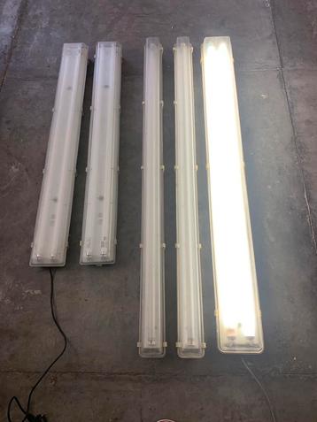 Tl lampen  beschikbaar voor biedingen