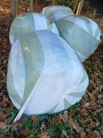 Voordroog hooi midi balen, Dieren en Toebehoren, Ophalen