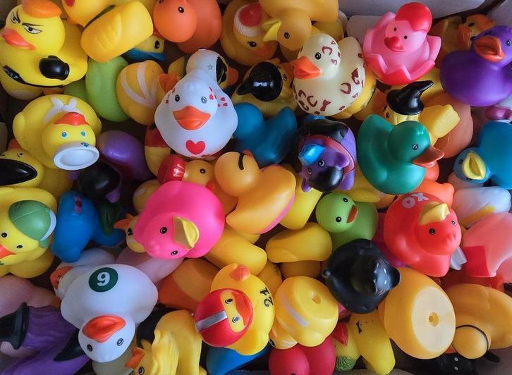 Eendjes, Enfants & Bébés, Jouets | Jouets de bain, Neuf, Enlèvement ou Envoi