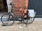 Elektrische fiets Giant, Fietsen en Brommers, Elektrische fietsen, Ophalen, Gebruikt, Giant