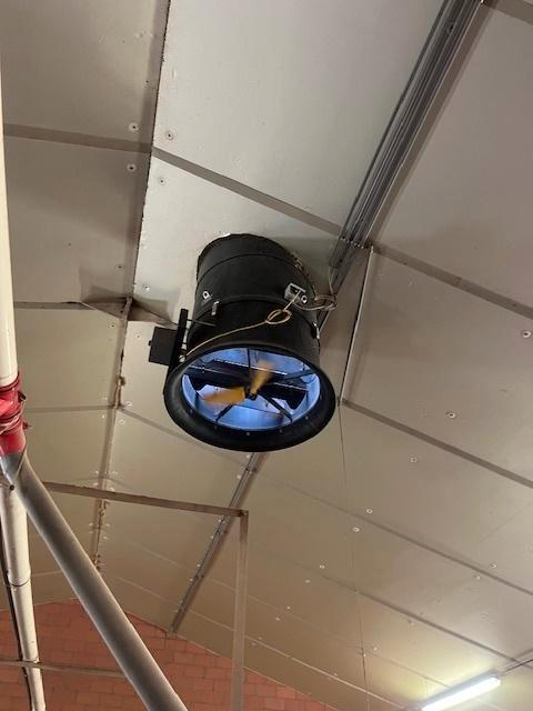 veeteelt, Dieren en Toebehoren, Schapen, Geiten en Varkens