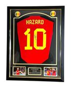 Chemise encadrée avec professionnalisme et expertise., Enlèvement ou Envoi, Neuf, Maillot