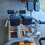 Life fitness Hyper Lower Back Extension, Ophalen, Zo goed als nieuw
