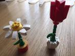 Lego bloemen (40187), Comme neuf, Ensemble complet, Enlèvement, Lego