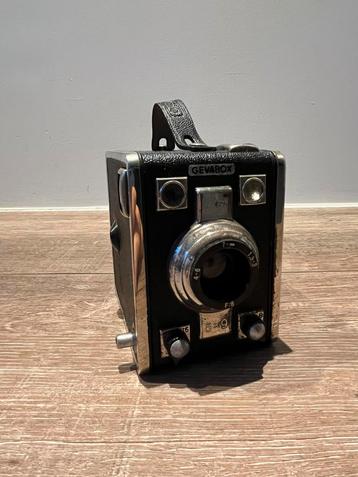 Vintage Gevaert Gevabox boxcamera - Werkend - (1951) beschikbaar voor biedingen
