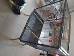 Cage oiseaux, Animaux & Accessoires, Enlèvement, Comme neuf