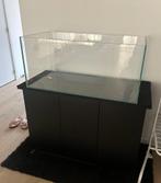 Optic White Aquarium+Kast+Licht. Top deal, Zo goed als nieuw, Ophalen, Leeg aquarium