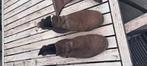 Paardrijschoenen met chaps, Dieren en Toebehoren, Paardrijkleding, Ophalen of Verzenden