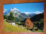 Postkaart Zwitserland Berner Oberland 19445, Ophalen of Verzenden