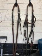 Antares bruin full hoofdstel en borsttuig, Ophalen of Verzenden, Gebruikt, Springen