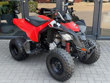 Can Am DS250 quad - Automaat 250CC beschikbaar voor biedingen