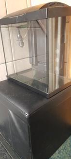 AQUARIUM, Enlèvement