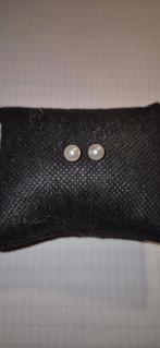 nr 138 oorbellen, Nieuw, Ophalen of Verzenden, Knopjes of Stekers, Zilver