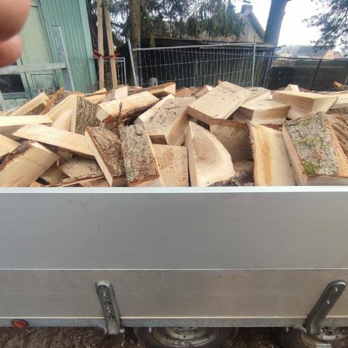 Franse eik gezaagd op maat, Tuin en Terras, Brandhout, Blokken, Eikenhout, 6 m³ of meer, Ophalen