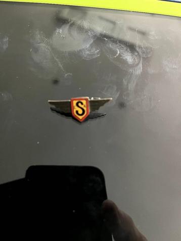 Broche beschikbaar voor biedingen