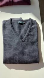 Pull Deer Island, Maat 48/50 (M), Nieuw, Ophalen of Verzenden, Grijs