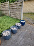 Witte keien Carrara, Tuin en Terras, Ophalen, Gebruikt, Wit, Kei