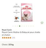Royal Canin Mother & Babycat pour chatte et chaton, Animaux & Accessoires, Enlèvement, Chat