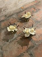 3 mini-orchidee in glazen potjes, Gebruikt, Verzenden