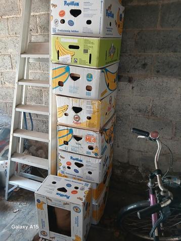 10 bananen dozen  beschikbaar voor biedingen