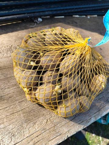 Bio plantaardappel Connect beschikbaar voor biedingen