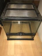 Terrarium 30 x 30 x 30, Dieren en Toebehoren, Reptielen en Amfibieën | Toebehoren, Ophalen, Gebruikt
