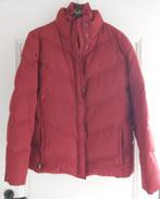 Bordeaux jas Esprit maat XL, Kleding | Dames, Esprit, Ophalen, Zo goed als nieuw, Maat 42/44 (L)