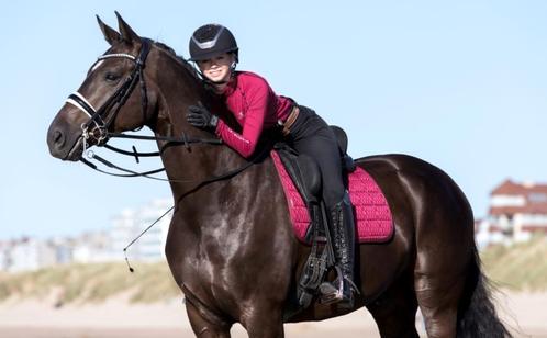 LeMieux Carbon Mesh Mulberry dressuur dekje GRATIS VERZENDIN, Dieren en Toebehoren, Paarden en Pony's | Dekens en Dekjes, Nieuw