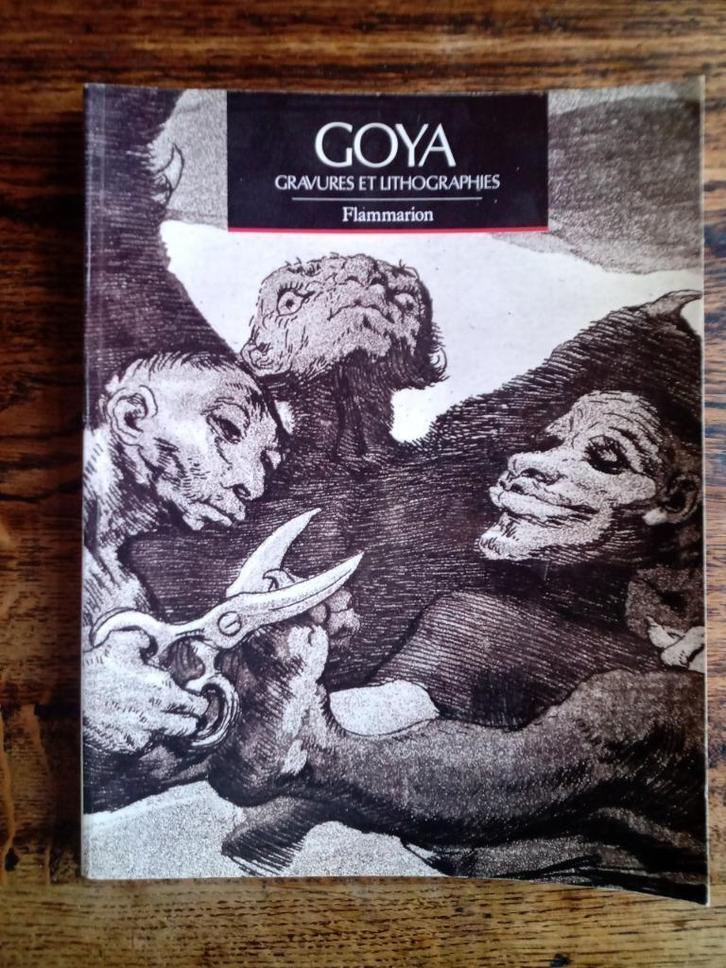 Goya Catalogus Raisoné Gravures en lithografieën 1989, Boeken, Kunst en Cultuur | Beeldend, Ophalen of Verzenden