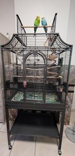 Cage Montana Madeira I, Animaux & Accessoires, Oiseaux | Cages & Volières, Comme neuf, Enlèvement, Cage à oiseaux