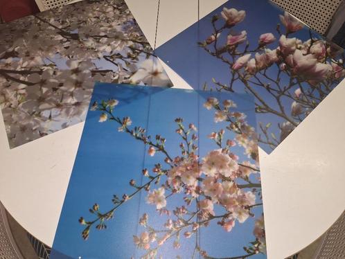 blossem deco platen, nieuwstaat, Huis en Inrichting, Woonaccessoires | Overige, Nieuw, Ophalen of Verzenden