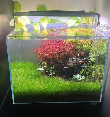 Twinstar lll 450SM beschikbaar voor biedingen