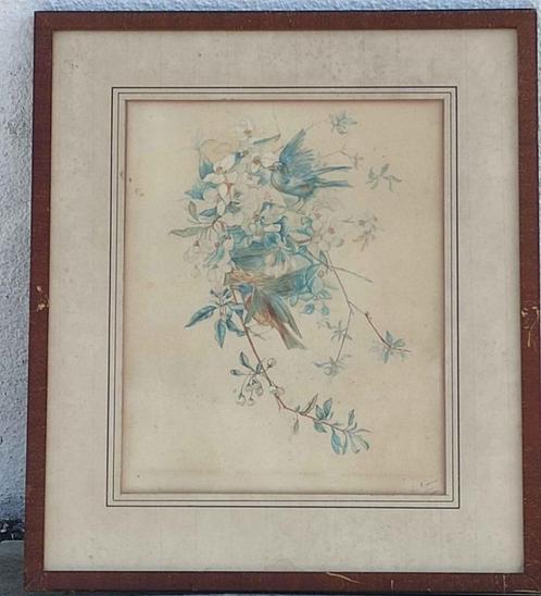 Aquarelle oiseaux signe e mesonne 1891, Antiquités & Art, Art | Peinture | Classique, Envoi