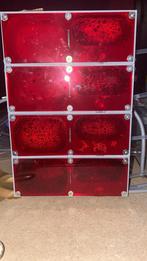 Camponotus Renggeri 300-400 werksters complete set, Dieren en Toebehoren, Mieren