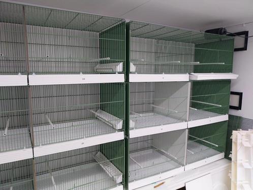Draadkooien, Dieren en Toebehoren, Vogels | Hokken en Kooien, Zo goed als nieuw, Ophalen