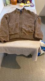 Dikke winter heren trui met rits, Bruin, Verzenden, Maat 56/58 (XL), C&A