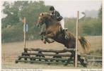 PAARDENSPORT  met  JOCKEY  SALLY  SKEIR, Verzamelen, Verzenden, Ongelopen, Sport en Spel