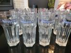 Hoegaarden bierglazen 25cl – meer dan 15 stuks, Verzamelen, Ophalen, Gebruikt, Bierglas