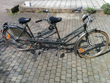 Tandem Oxford, 47 à 51 cm, Moins de 10 vitesses, 49 à 53 cm, Enlèvement