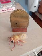 De Biekorf, Enlèvement