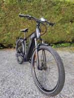 Comfortabele speedpedelec weinig km!, Fietsen en Brommers, Elektrische fietsen, Ophalen, Zo goed als nieuw, Giant