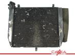 RADIATEUR Yamaha YZF R1 2000-2001 (YZF-R1 5JJ) (02219TOYO), Motoren, Onderdelen | Yamaha, Gebruikt