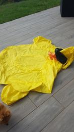 Fauteuil gonflable pour piscine en forme de canard, Ophalen, Zo goed als nieuw