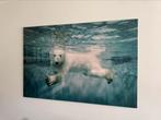 Plexiglas foto ijsbeer 150x100cm, Antiek en Kunst, Ophalen