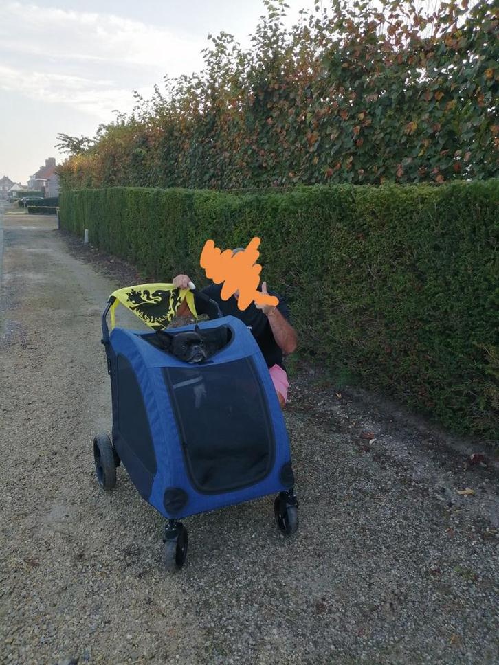 Wandelwagen voor honden, Dieren en Toebehoren, Honden-accessoires, Ophalen